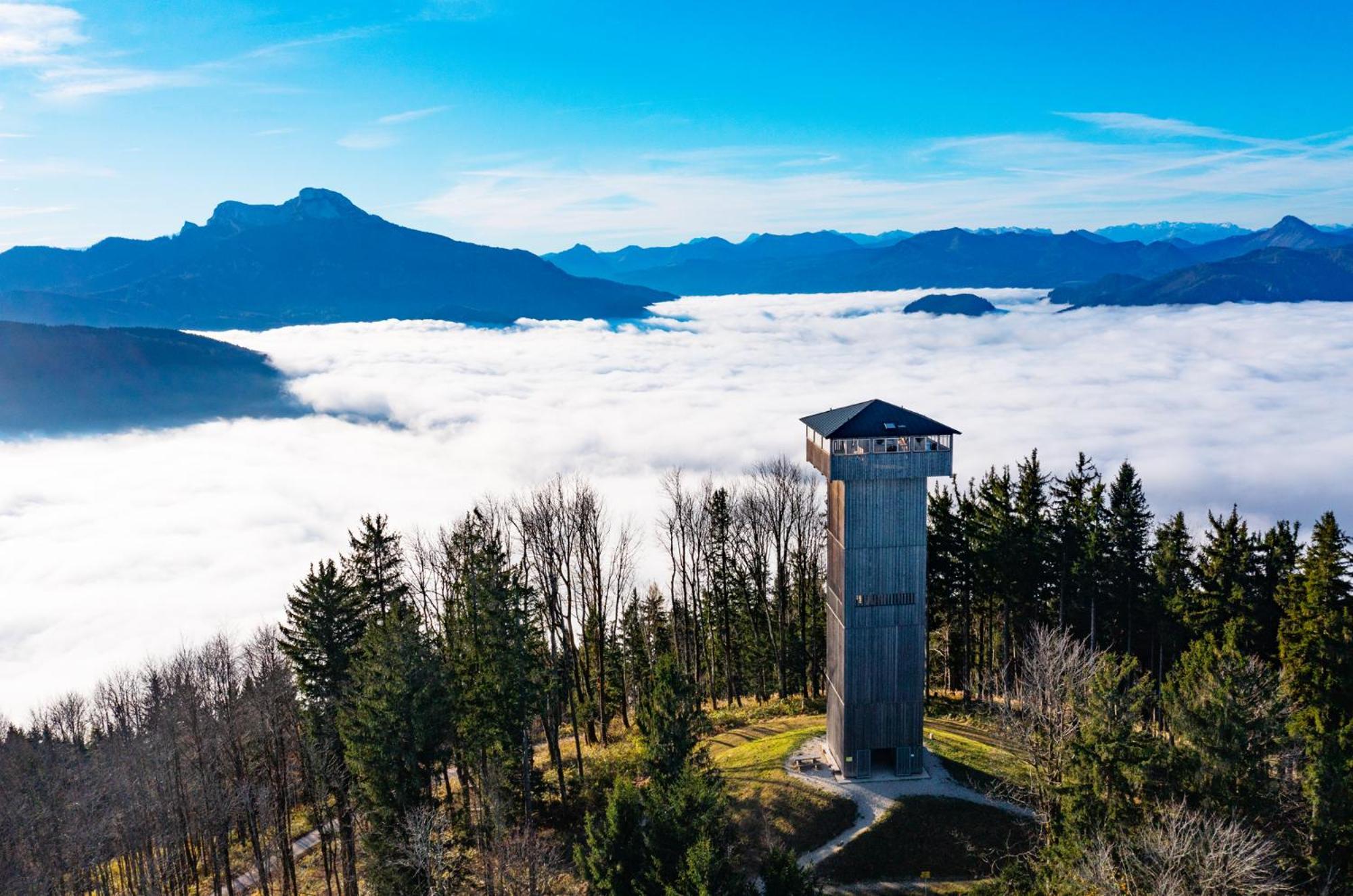 Im Mondseeland Innerschwand Eksteriør bilde